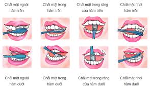 Đánh răng như thế nào là đúng cách ?